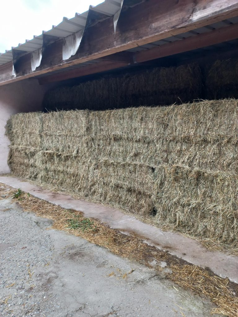 les bottes de foin rangées à l'abri